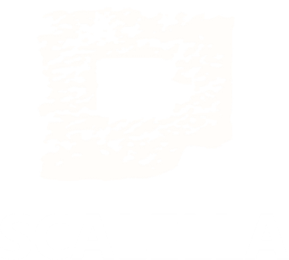 loader image
